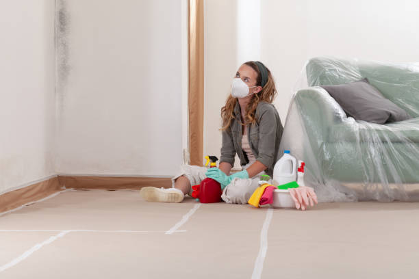 Reliable Mold Remediation contractor in McVeytown, PA by WQB Mold Removal