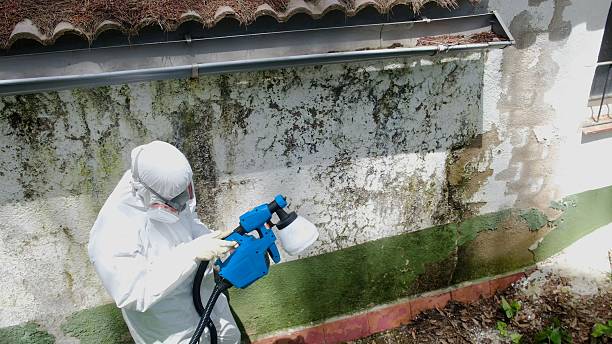 Top rated local Mold Remediation specialists in McVeytown, PA